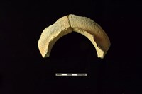 陶罐藏品圖，第1張